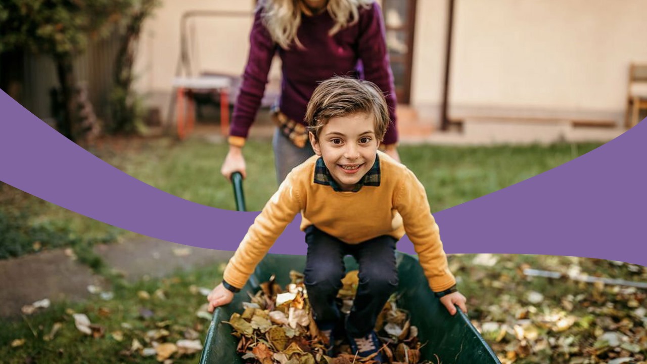 Fall Leaf Cleanup: Tips for a Tidy Yard