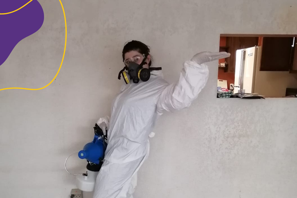 How to Get Rid of Cockroaches in the Kitchen